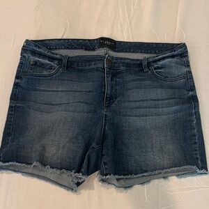 Celebrity Pink Women's Jean Shorts Size 18